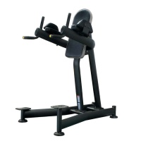 Пресс брусья Хип-Флексор Vertex EFB143