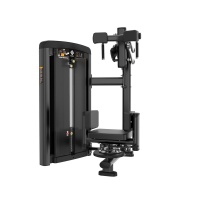 Торс-машина Insight Fitness BH20