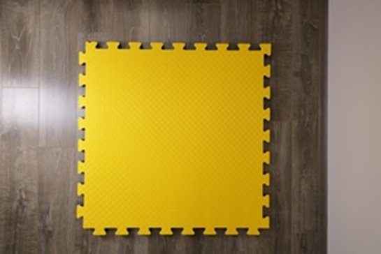 Будо-мат JT Sport (100х100 см, 2 см)