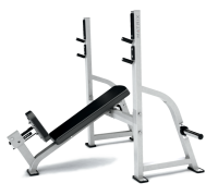 MATRIX G1-FW164 Cкамья для жима (G1-FW164_9_2B)