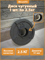 Диск для штанги РЕКОРД D51 мм 2,5.