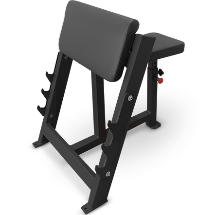 BRONZE GYM  AL-303 Скамья Скотта