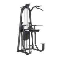 E-1009В Турник, брусья с противовесом (Dip/Chin Assist). Стек 88 кг.