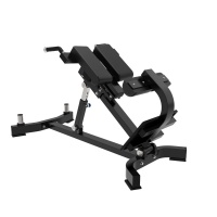 Гиперэкстензия наклонная Insight Fitness TM89B