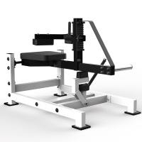 Голень сидя Gymmaster V19