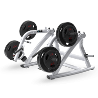 MATRIX MAGNUM MG-PL79 Присед/ Становая тяга/ Выпад