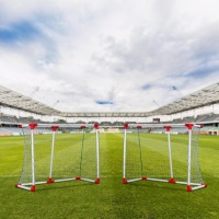 Набор детский DFC для игры на траве GOAL121A2