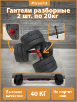 DBZ-40 Гантельный набор разборный 2х20кг (пластик/цемент) 40кг с проставкой  (E36831)