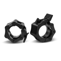 BRONZE GYM BG-PA-BR-CL001 Замки-клипса