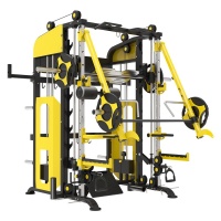Многофункциональный тренажер с машиной Смита Insight Fitness TS114