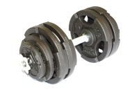 Гантель разборная MironFit чугунная 25 кг