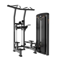 Гравитрон Insight Fitness BH10