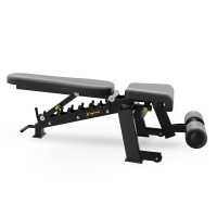 Скамья универсальная Insight Fitness DZ61