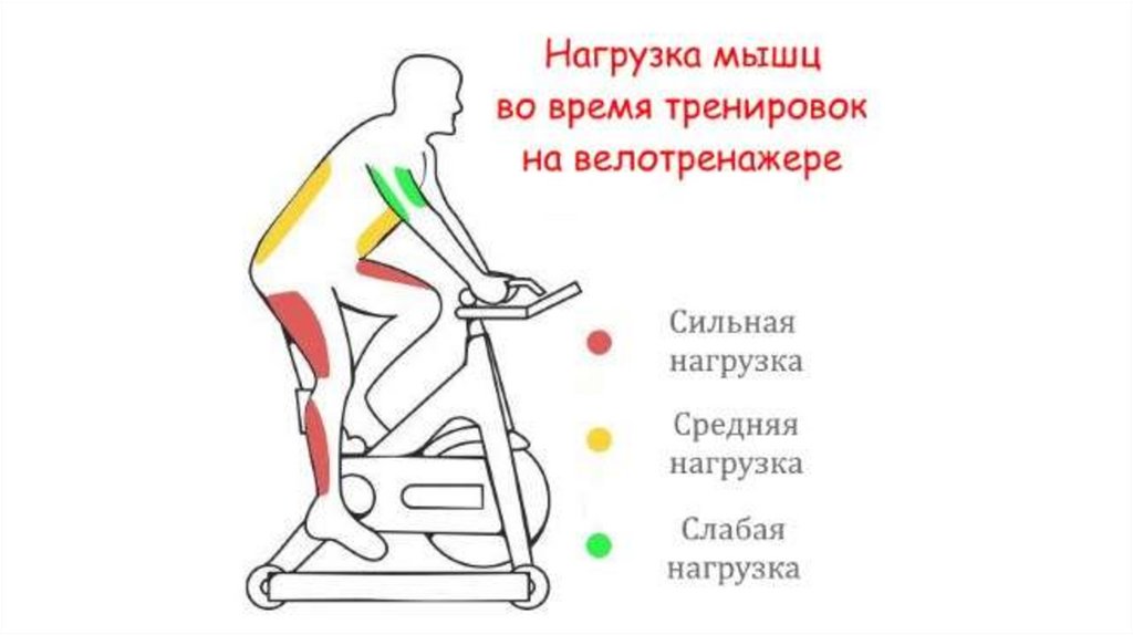 укрепление мышц на велотренажере