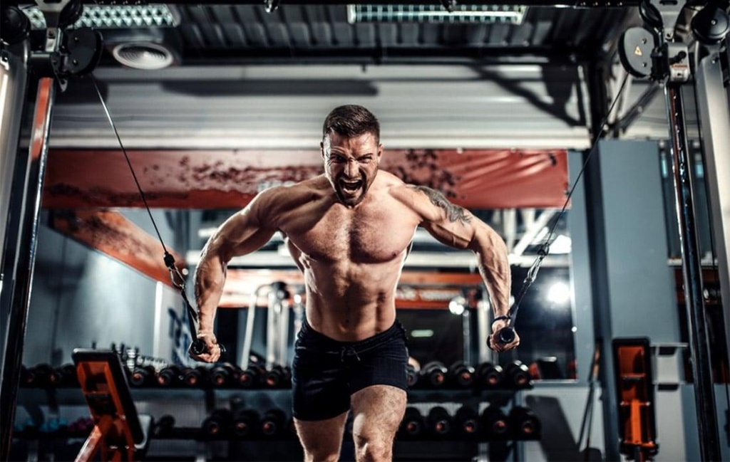 Тренировки на кроссовере