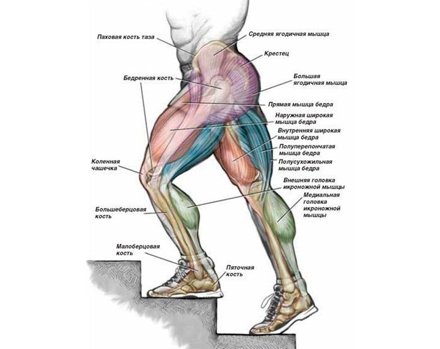 тренировки на степпере тренировки на степпере