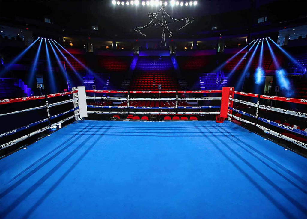 boxing-ring-background-1500-x-1071-hocop1zv0d3hb0g1.jpg