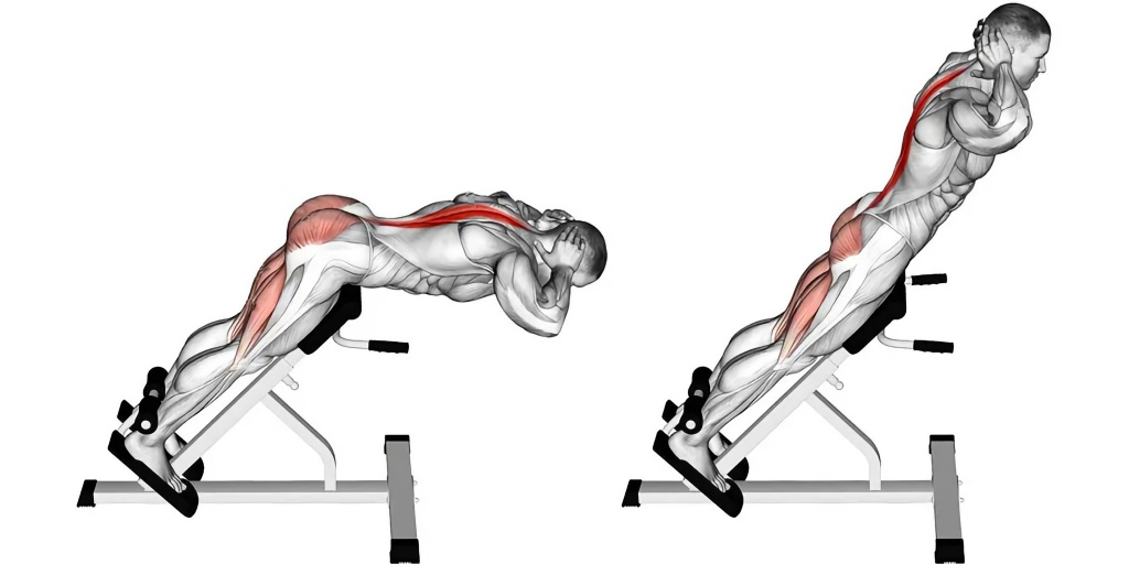прокачка мышц спины