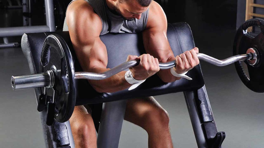 biceps_gelişimi_ve_hareketleri_11(3).jpg biceps_gelişimi_ve_hareketleri_11(3).jpg